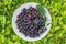 The fresh black ripe shadberries are on a white plate on a green grass background in the garden in summer