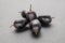 Fresh black wine grape on grey stone