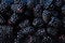 Fresh blackberries background with ripe berries