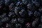 Fresh blackberries background with ripe berries