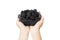 Fresh blackberries in female hands on a white background. Blackberries in a bowl. Blackberry isolated on white
