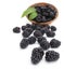 Fresh blackberry in basket