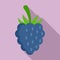 Fresh blackberry icon, flat style
