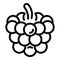 Fresh blackberry icon, outline style