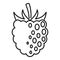 Fresh blackberry icon, outline style