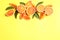 Fresh bloody oranges on color background, flat lay. Citrus fruits