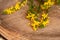 Fresh blooming agrimony plant on a table