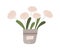 Fresh blossomed cut flowers in bucket for sale. Rose bouquet in vase. Blooming floral plant with leaves. Elegant spring