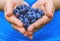 Fresh blue berries fruits presented in girl hands. Real woman with handful of freshly picked blueberries. Conceptual picture for