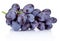 Fresh blue grapes isolated on white background