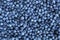 Fresh Blueberries background