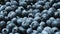 Fresh blueberries background rotating in slow motion. Blueberry antioxidant organic superfood in a bowl concept for