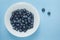 Fresh blueberries in a bowl on blue background.