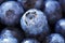 Fresh Blueberries close-up