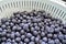 Fresh blueberries in colander