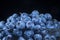 Fresh blueberries in in glassware on black background. Close-up of Bog bilberry, bog blueberry, northern bilberry or western