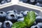 Fresh blueberries with green leaves in white dishware