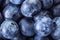 Fresh blueberries macro