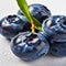 Fresh blueberries with water drops on white background, closeup view