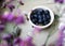 Fresh blueberries in a white bowl