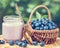 Fresh blueberries yogurt in jar and basket with bilberries.
