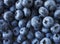 Fresh Blueberry Background. Texture blueberry berries close up