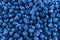 Fresh blueberry background. Texture blueberry berries close up