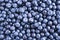 Fresh blueberry background. Texture blueberry berries close up. Ripe bilberry background. Texture bilberry berries close up. Top v
