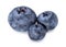 Fresh blueberry isolated on white background with clipping path. Three bilberries