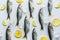 Fresh bluefish with lemon on white. Fish pattern. View from above