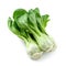 Fresh bok choy bunch, isolated white, Ai Generated