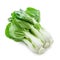 Fresh bok choy bunch, isolated white, Ai Generated