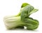 Fresh bok choy isolated on white