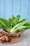 Fresh Bok Choy and Mushroom on Wooden Plate