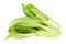 Fresh bok choy pak choi Chinese cabbage isolated