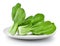 Fresh Bok choy in plate isolated on a white background