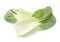 Fresh Bok Choy on white