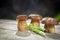Fresh Boletus Edilus mushrooms on a wooden table