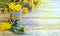 Fresh bouquet of dandelions, glass jar