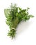 Fresh bouquet garni, bunch of herbs