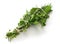 Fresh bouquet garni, bunch of herbs