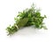 Fresh bouquet garni, bunch of herbs