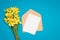 Fresh bouquet of narcissus flowers and the envelope with the letter on a blue background. minimalism