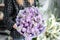 Fresh bouquet of purple Mattioli close-up. Womens or Mothers Day Theme. European floral shop. Bunch beautiful lilac