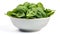 fresh bowl spinach green