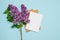 Fresh Branch Pink Lilac Background Greeting Card Mockup