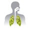 Fresh breath. Green Human lung illustration info graphic.