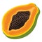 Fresh bright exotic half papaya fruit isolated on white background. Summer fruits for healthy lifestyle. Organic fruit. Cartoon