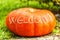 Fresh bright pumpkin with sign welcome