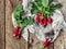 Fresh bright summer radishes from the garden